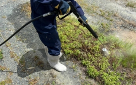 スチーム除草風景2